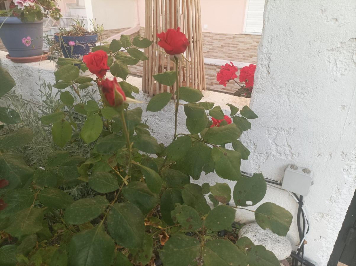 Filomeni Studios Πευκοχώρι Εξωτερικό φωτογραφία